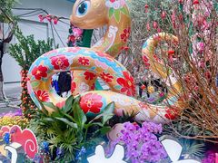-越秀西湖花市(广州城市广场花卉店)
