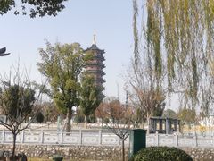 -葛仙湖公园