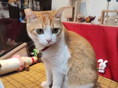 -金辉食馆(海珠店)