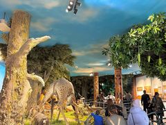 -国家自然博物馆