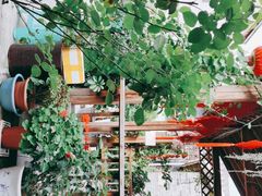 -王万妈卤猪脚(青岩交通路)