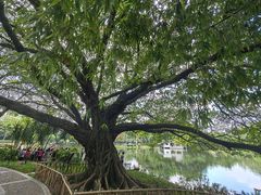 -晓港公园