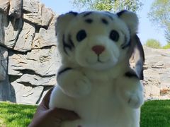 -北京野生动物园