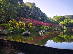 -深圳仙湖植物园
