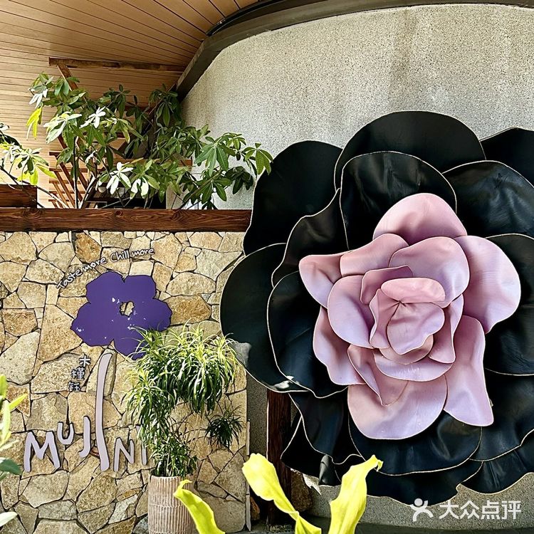 大运新开这家韩料，聚餐约会好去处