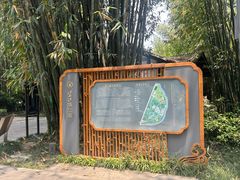 -望江楼公园
