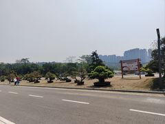 -广西壮族自治区药用植物园