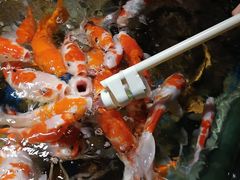 -太平洋海底世界