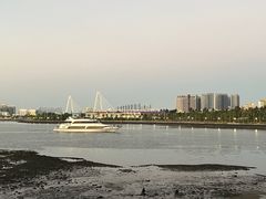 -万绿园