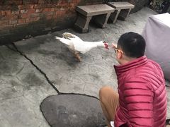 -得丘礼享谷·玉兰苑