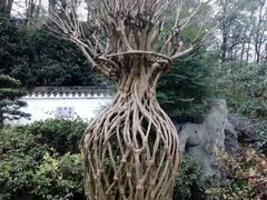 -南山植物园