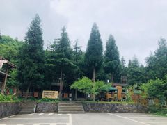 -武陵山森林公园