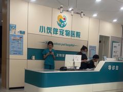 -小伙伴宠物医院·CT·骨科·眼科(高新店)