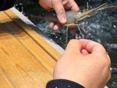 -桃源乐钓虾馆(松岗概念店)