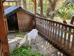 -南汇桃花村