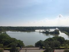 -大湾区中央湿地公园