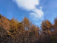 -秦岭风景区