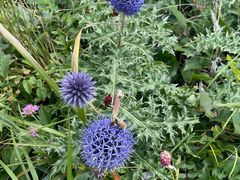 -白草畔自然风景区