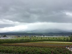-富田农场