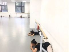 -西安小天鹅艺术团(金花路校区)