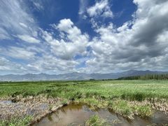 -野鸭湖国家湿地公园