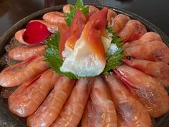 -黑松白鹿(金融街店)