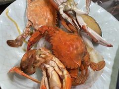 飞蟹-红星渔村(将军石店)