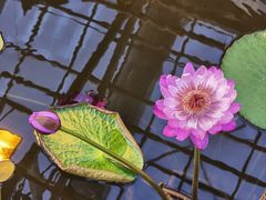 -国家植物园南园