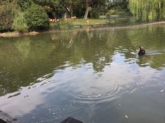 -茱萸湾风景区-售票处