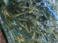 -阿娘家·原生态农家菜(国顺东路店)