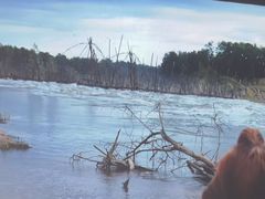 -君之悦·影院式足道·养生SPA(回兴店)