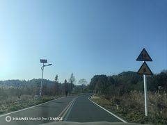 -天乐农家鱼头王(天目湖店)