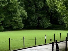 -上海共青森林公园