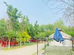 -西青郊野公园