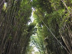 -采石矶景区