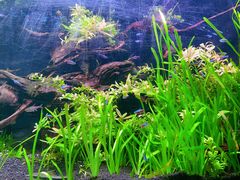 -上海海洋水族馆