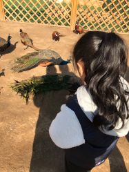 -萌宠亲子动物乐园(槐房万达店)