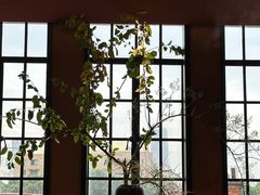 -滇野云南野生菌餐厅