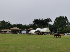 -光明小镇欢乐田园