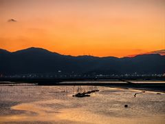 -北岐滩涂