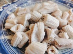 羊肚仁-金生隆(六铺炕店)