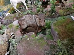 -陕西自然博物馆