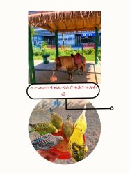 -萌宠亲子动物乐园(槐房万达店)