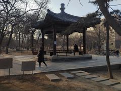 -元大都城垣遗址公园