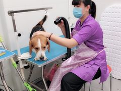 -宠颐生中康贝怡动物医院