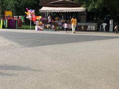 -长白岛森林公园