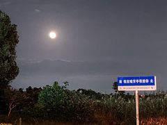-七的湖·晚芳亭·阳澄湖农家菜·大闸蟹(莲花岛店)