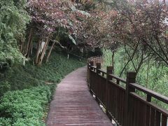 -重庆彩云湖湿地公园