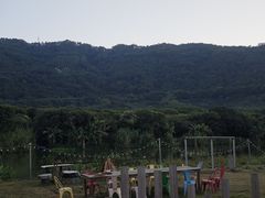 -风云岭森林公园
