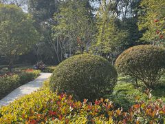 -上海佘山国家森林公园天马山园